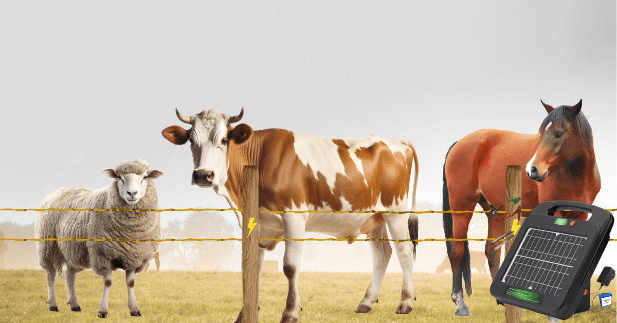 Electric Fence Energizer (Solar-Powered) Guide: Installation, Testing, Safety & Uses - My Pet Command