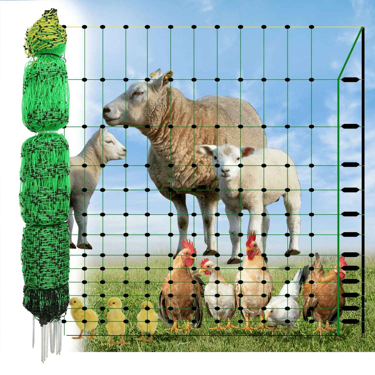 Poultry Netting - Everything You Need to Know for Effective Electric Fence Containment - My Pet Command