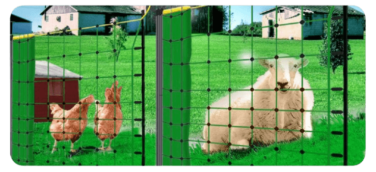 Protect Your Chickens the Smart Way with Electric Fence Netting - My Pet Command