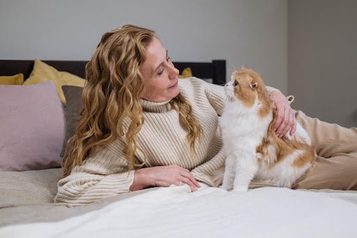 The Purr-fect Time: Why Now is Right for Your Pet Care Startup - My Pet Command