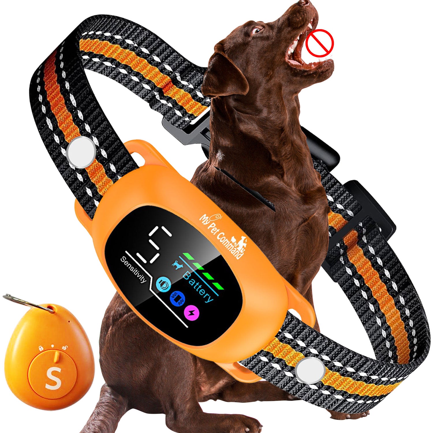 Dog Shock Collar Remote Dog Collar Reviews No Shock Humane Rechargeable Water Resistant Remote Control Collar, Dog Shock Collar Remote Dog Collar Reviews No Shock Humane Rechargeable Water Resistant Remote Control Collar,