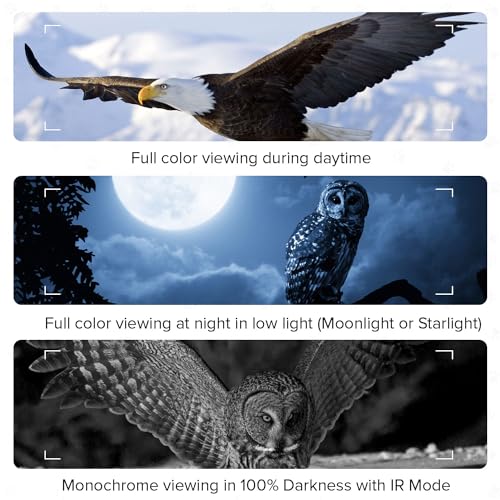 IR Night Vision Goggles Binoculars with Color viewing 4K Video - My Pet Command