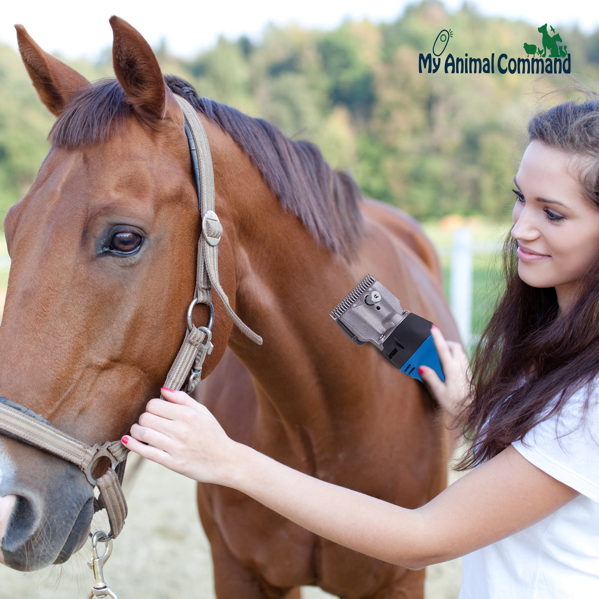 My Animal Command 110V 400W Horse Clippers Professional Heavy Duty Kit 6 Speeds Shaving Fur - My Pet Command