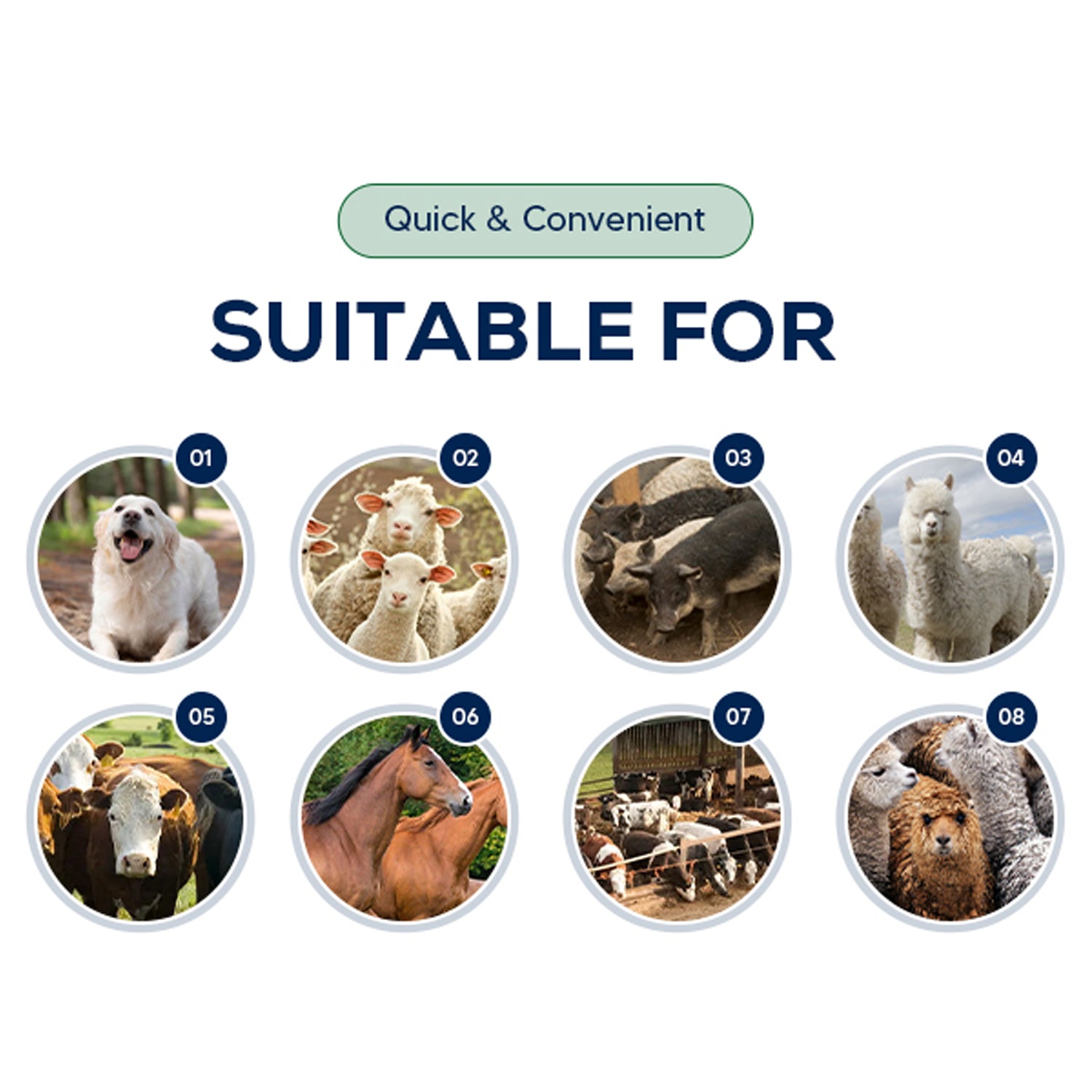 My Animal Command Replacement or Additional Blades for Animal/Livestock/Sheep/Pet Clipper Model Number MAC600 - My Pet Command