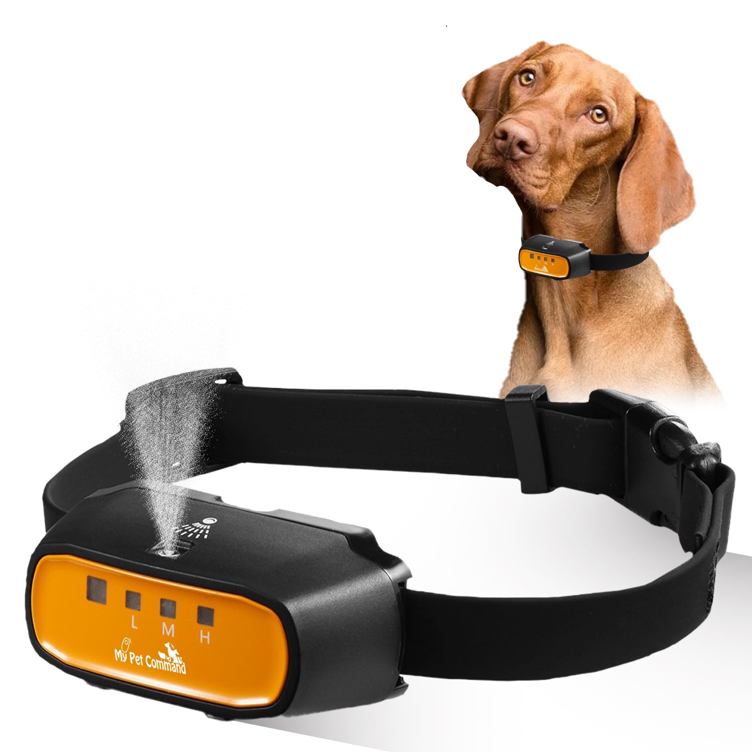 Safe 2 in 1 Auto Citronella Spray Anti Bark Dog Training Collar with Remote