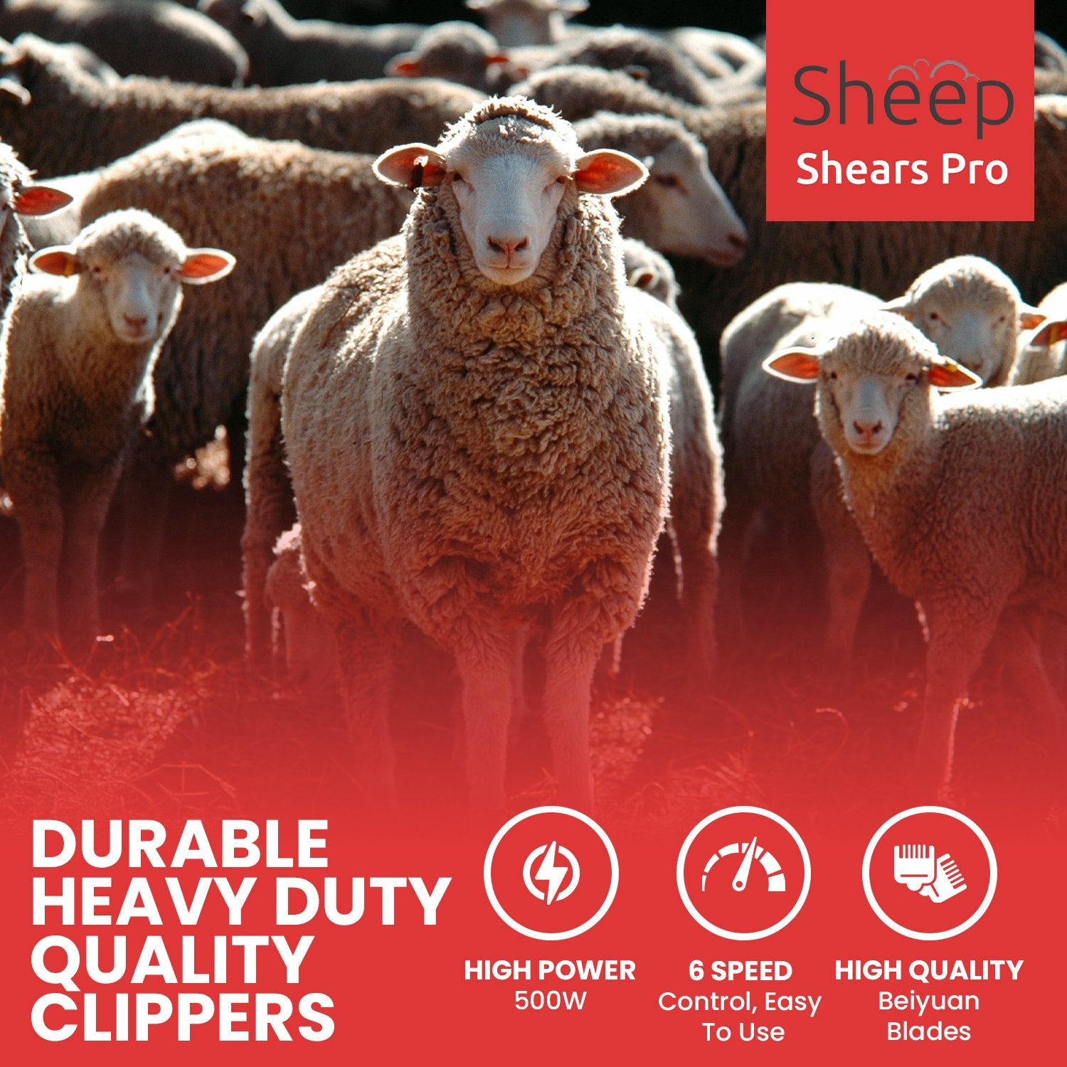 SHEEP SHEARS PRO 110V 500W PROFESSIONAL HEAVY DUTY ELECTRIC SHEARING CLIPPERS WITH 6 SPEED FOR SHEEP - My Pet Command