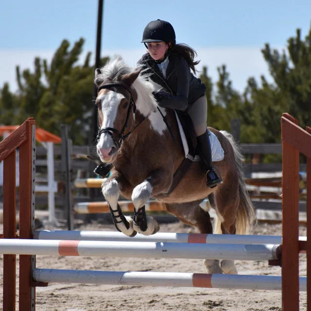 Best Horse Clippers for Thick Coats, Livestock, and Farm Animals