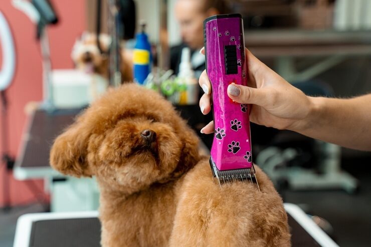 Corded vs. Cordless Dog Clippers: Which Is Better?