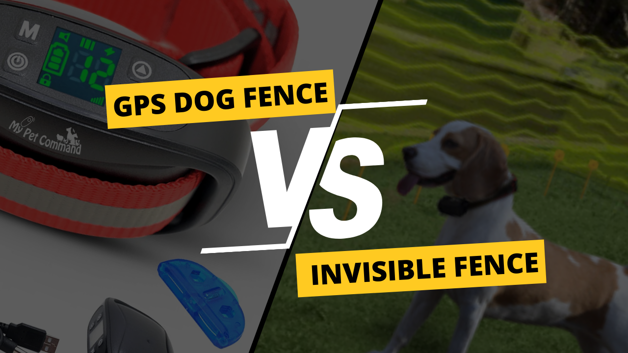 GPS Dog Fence Collar vs Invisible Fence, which one is best for you to contain your dog?