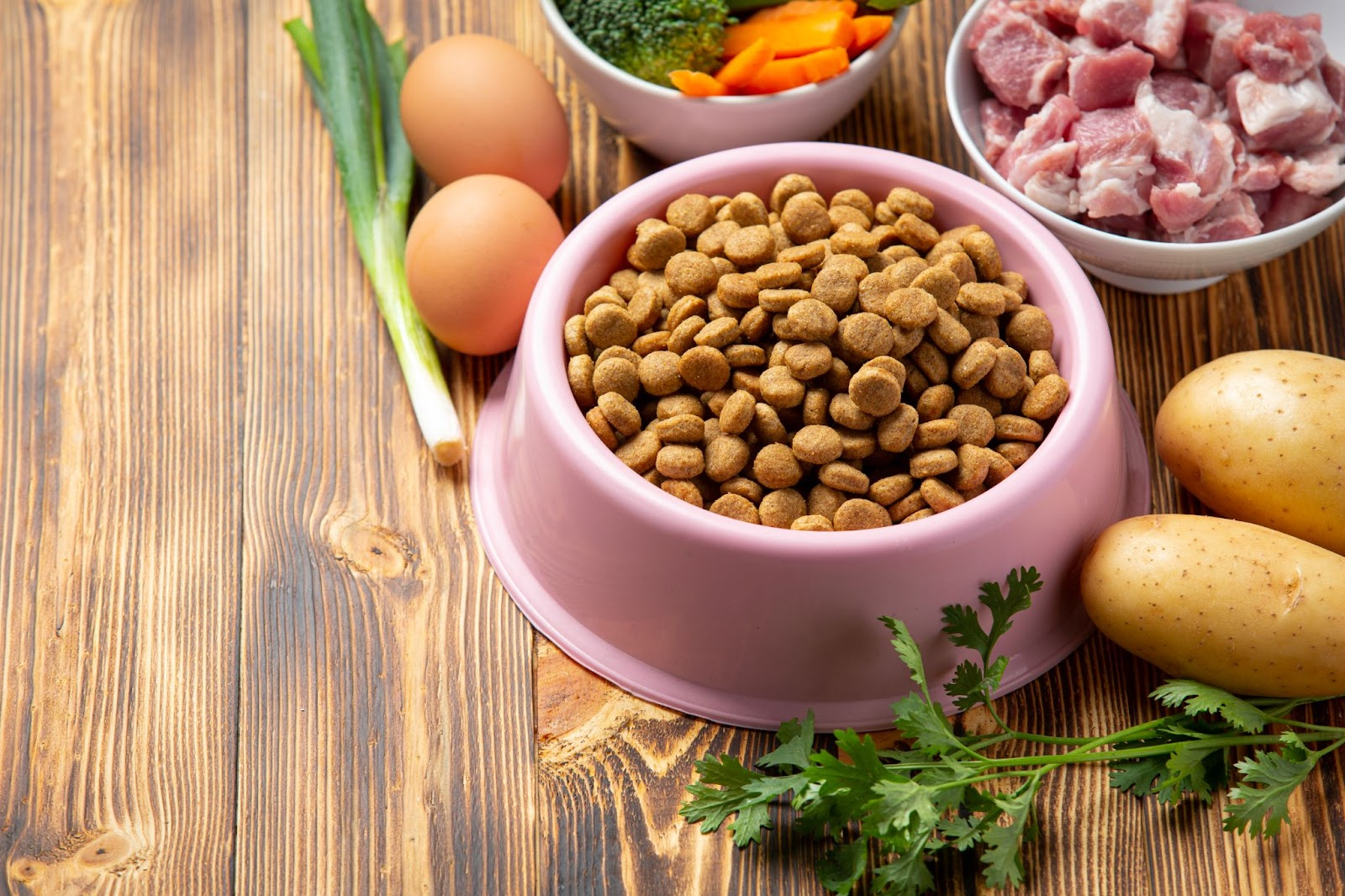 best dog food brands
