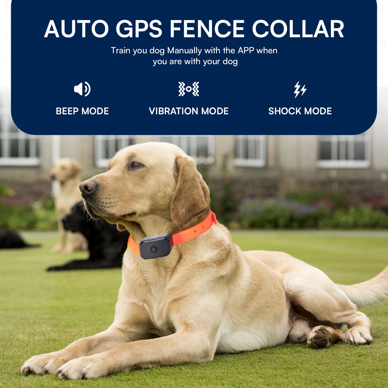 2 in 1 Wireless GPS Dog Shock Collar Fence/Training Collar