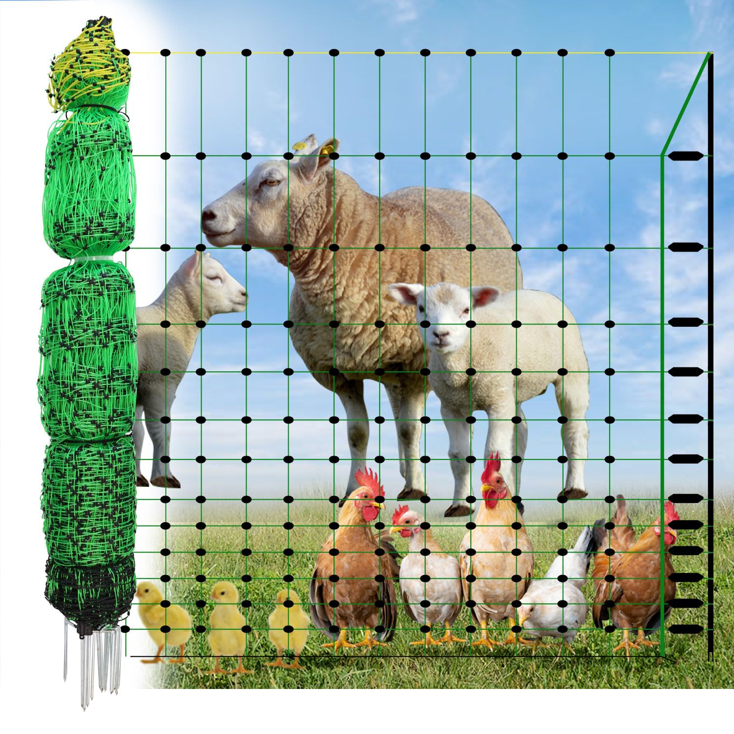 My Animal Command 47” x 164’ Poultry Electric Fence Netting pre - Assembled 14 Posts Portable Semi - Rigid Suitable for Multiple Animals Such as Chickens/Poultry, Sheep, Goats, Hogs - My Pet Command