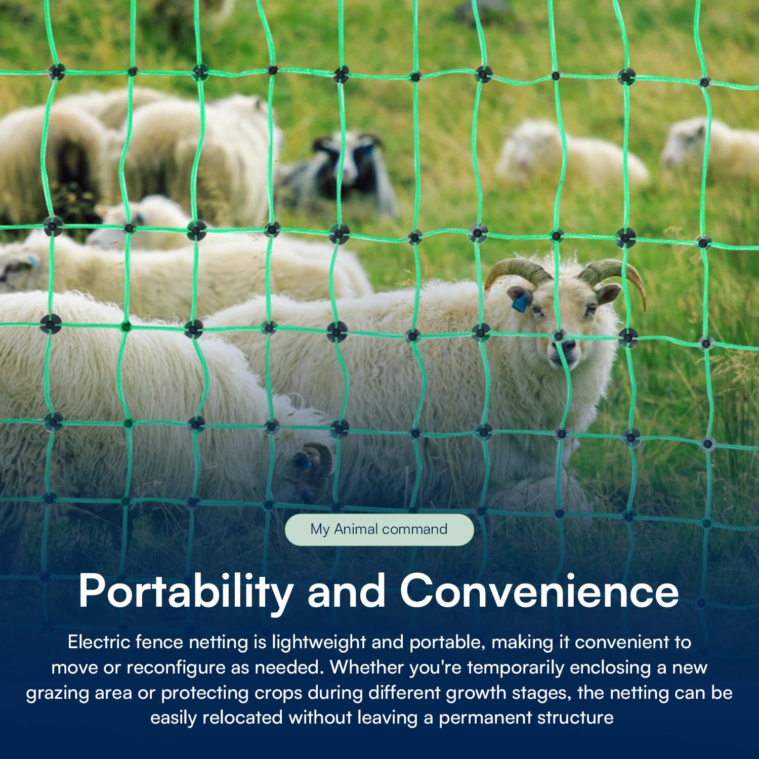 My Animal Command 47” x 164’ Poultry Electric Fence Netting pre - Assembled 14 Posts Portable Semi - Rigid Suitable for Multiple Animals Such as Chickens/Poultry, Sheep, Goats, Hogs - My Pet Command