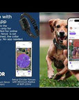 My Pet Command 2-in-1 Smart Wireless GPS Dog Fence and Training Shock Collar
