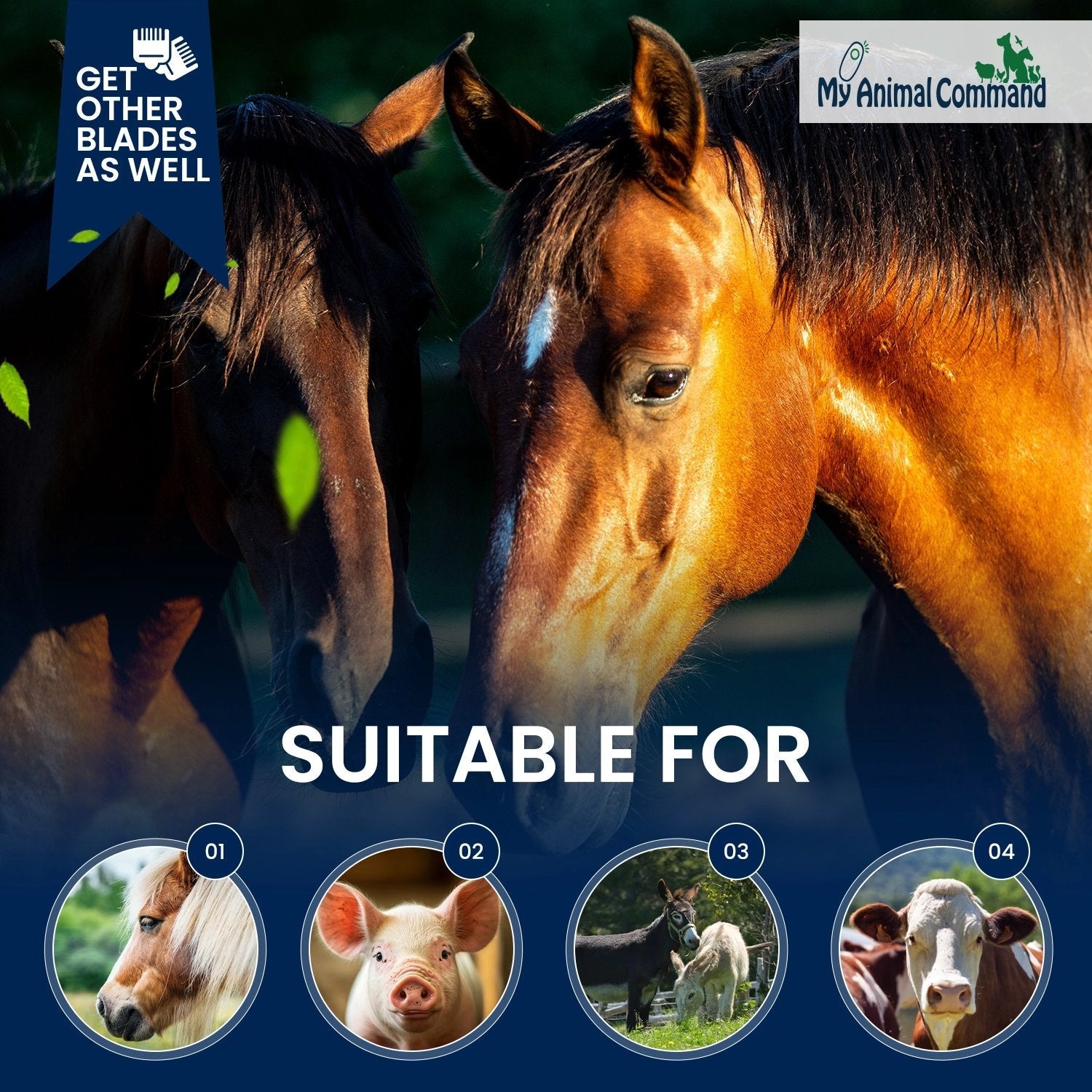 Explore Powerful Heavy-Duty Horse Clippers for Grooming – My Pet
