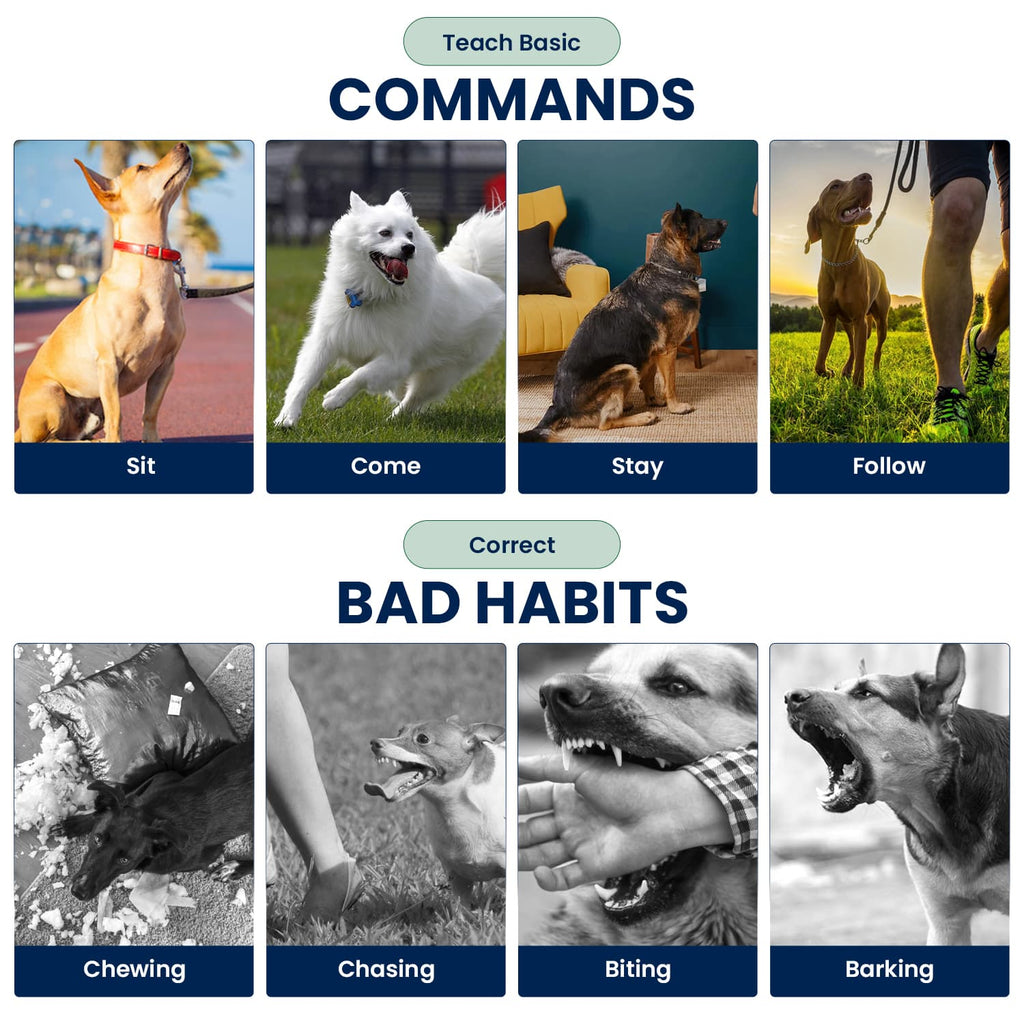 Visual Reference: Effective Long Range Dog Training Shock Collar With Remote