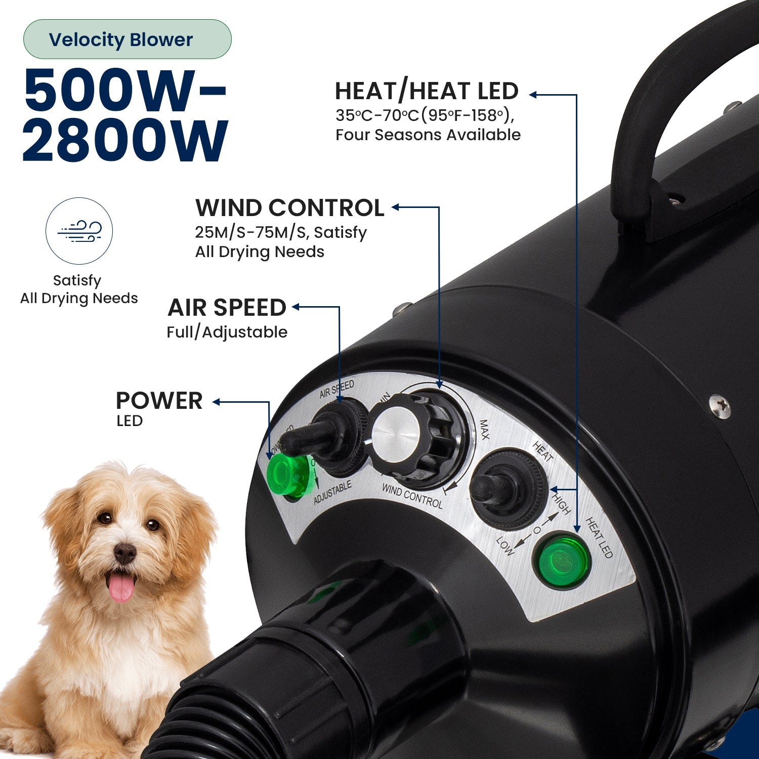 Dog 2025 fur blower