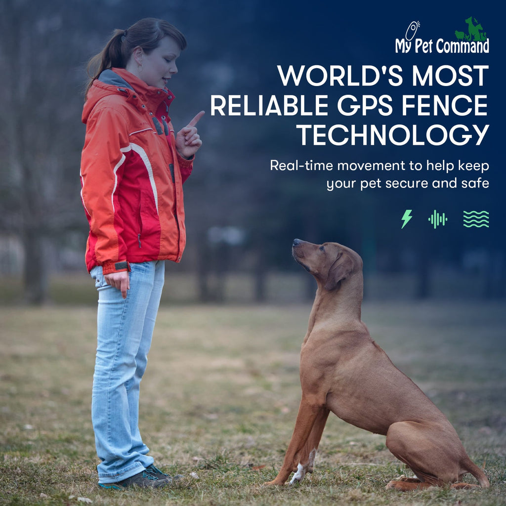 Wireless Electric GPS Dog Fence with Shock Collar Boundary/Containme